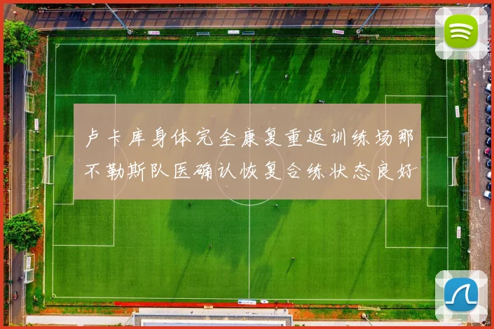 卢卡库身体完全康复重返训练场那不勒斯队医确认恢复合练状态良好