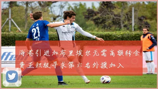 海港引进加布里埃尔无需高额转会费正积极寻求第六名外援加入